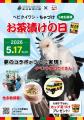5月17日＝お茶漬けの日は、ヘビクイワシ「ちゃづutf-8