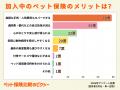 犬と猫のペット保険の必要性の差とは？メリット・デメ