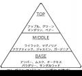 究極の艶とまとまり髪を目指す「Re:(アールイー)シリ