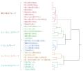 【ファンケル】あなたの「ハリ肌」はどのタイプ？曖昧