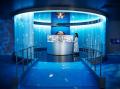 【広島もとまち水族館】ゴールデンウィーク企画「マリ