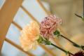 母の日の花束を、産地の未来を繋ぐバトンに。“顔の見
