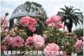 TX沿線自治体共同ウォーキングイベント「2026 TX沿線 