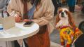 愛犬家300名以上の想いが集結。コノコトトモニ が日本