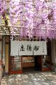 【毎年大好評】“くず餅乳酸菌(R)”入りかき氷を2026年