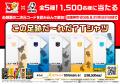 「ＢＯＳＳ×ポケモン３０周年」フシギダネ・ヒトカゲ