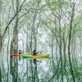 【山形・飯豊町】GWは春だけの絶景「白川湖の水没林」