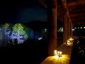 【山形・飯豊町】GWは春だけの絶景「白川湖の水没林」