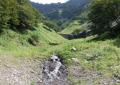 当社が技術支援した「共生の大地　足尾（松木・大平山