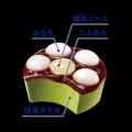 もちシャリ、ほろにが、後味すっきり。ひんやり和スイ