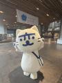 【新横浜プリンスホテル】GW限定イベント！長崎県のゆ