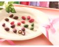 ロケ弁で有名な〈ととりべぇ〉が初出店！〈三代目千代