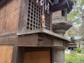 シロアリが活発に動き出すスウォーム（群飛）を前にシ