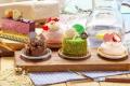 オープニングセレモニーで９mのロールケーキをカット
