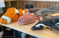 本州一早い海開きに「出張ペンギンカフェ＆ペンギンロ
