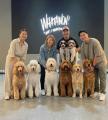 【GWの思い出はこれで決まり！】愛犬が主役になる大型