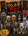 【GWの思い出はこれで決まり！】愛犬が主役になる大型