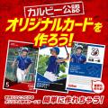 カルビー公認「プロ野球チップス カードホルダー」を4