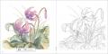 多彩な色彩で表現された美しい日本の花鳥風月『花ぬり