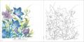 多彩な色彩で表現された美しい日本の花鳥風月『花ぬり