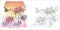 多彩な色彩で表現された美しい日本の花鳥風月『花ぬり