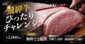 本日4月28日（火）「飛騨牛焼肉 伏見屋本店」が名古屋