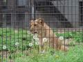 ゴールデンウィークは豊橋総合動植物公園へ！ のんほ