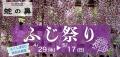 【福島県本宮市】蛇の鼻「ふじ祭り ふくしまDC特別版