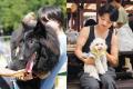 【愛犬の記念日にも】千葉・THE FARMカフェに、わんち