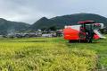【福岡県行橋市 × YUWAERU 共同開発】地元産ブランド