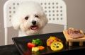 「愛犬と話してみたい」その夢、実現しました。Bestie