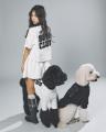 ペットブランド「STANDING ON THE BLUE」、2026年春夏