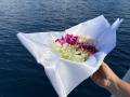 FP事務所ウィンカムが奄美大島で「海洋散骨」を開始