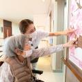 夢は、誰かのウェルビーイングになる。「桜十字 April