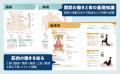 【イラスト・写真・動画で完全網羅】関節と筋肉の働き