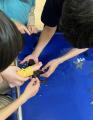 学ベルイベント「わくわく　移動水族館」開催