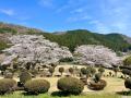 【茨城県常陸大宮市】常陸大宮市やすらぎの里公園で露
