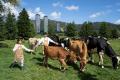 【リゾナーレトマム】五感で学ぶFarm to Table。生産