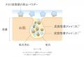 “まるで塗るあぶらとり紙”タイムシークレットからテカ