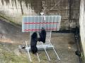 【新エリア開設】多発するクマ被害を受け「野生動物リ