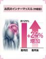 整骨院発・特許取得済みレギンスが新登場。