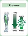 整骨院発・特許取得済みレギンスが新登場。