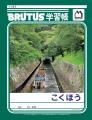 BRUTUSの国宝特集「会いたい国宝」が発売。全国の通い