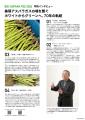【美瑛町アスパラ栽培70周年記念】　畑がステージにな