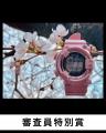 フォトコンテスト受賞作品発表！！テーマ「桜と腕時計