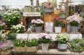 母の日ギフトに変化、“長く楽しめる植物”人気のutf-8