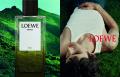LOEWE Perfumes (ロエベ パルファム) が名古屋に新店