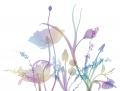 母の日に“花を贈るように傘を贈る”新提案！晴雨兼用傘