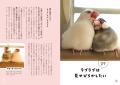 文鳥にモテたい人にオススメ 最新研究でわかった50の