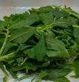 宮古島の伝統食薬「シビラン（通称:ニンジンモドキ）